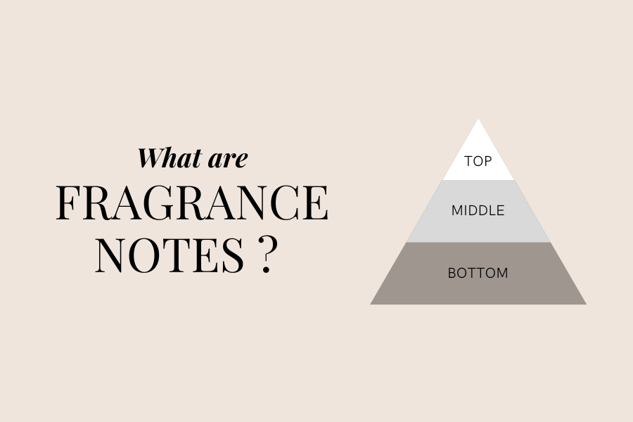 Top middle base online notes perfume