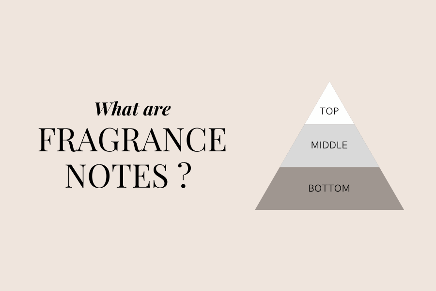 Explained: What You Should Know About Fragrance Notes